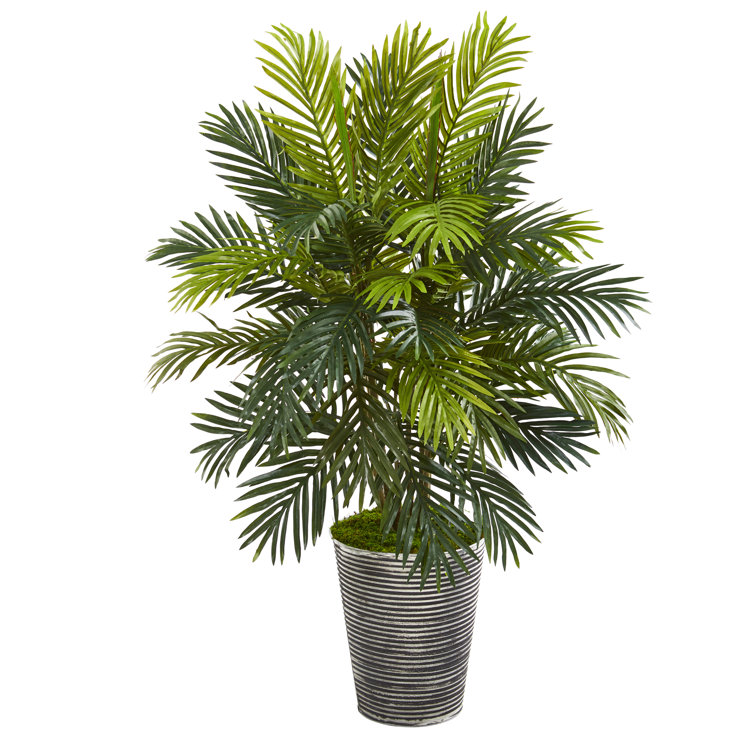 Bay Isle Home 42" Artificial Palm Plant in Planter Wayfair